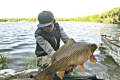 Schuppenkarpfen, 72 cm, 11 kg, Boilie