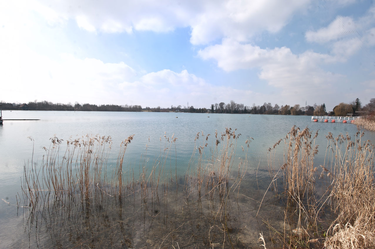 Friedberger See