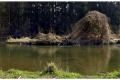 Impressionen