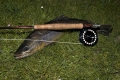 Bachforelle, 45 cm, 950 g, Steamer