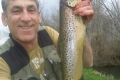 Bachforelle, 52 cm, 1250 g, Streamer